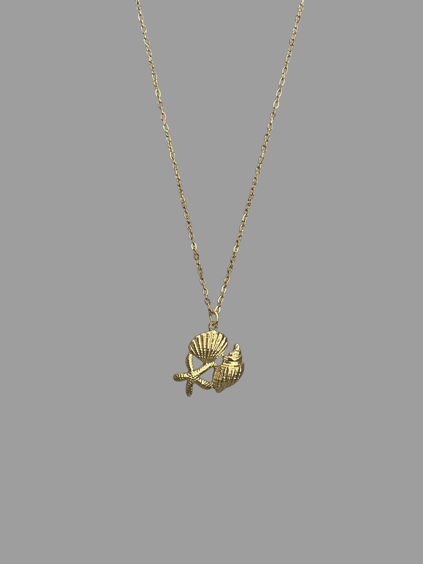 Collier coquillages