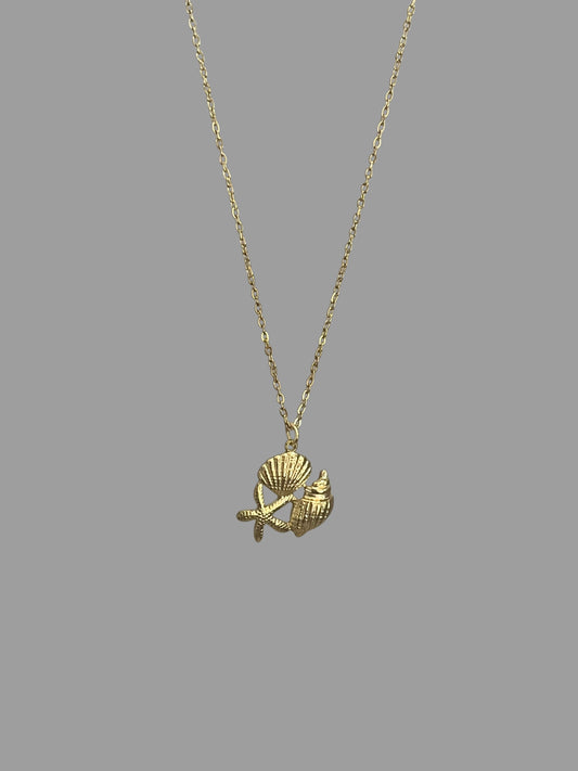 Collier coquillages